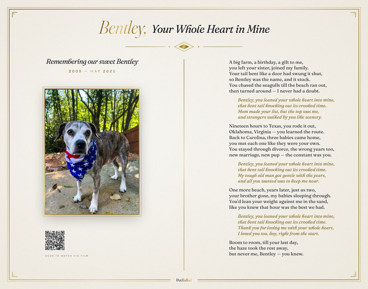 Lyrics sheet, full size